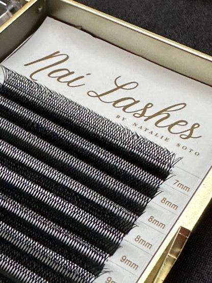 W3 Doble Single (6D)